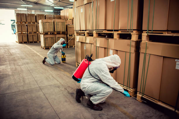 Best Rat Extermination Near Me  in South Oroville, CA