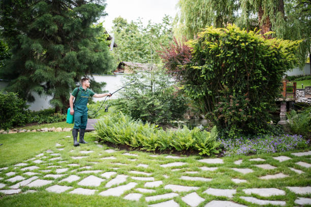 Best Pest Removal Services  in South Oroville, CA