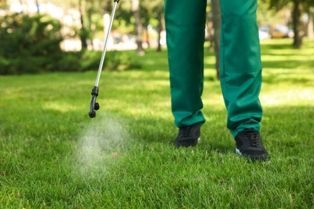 Best Best Pest Control Companies  in South Oroville, CA
