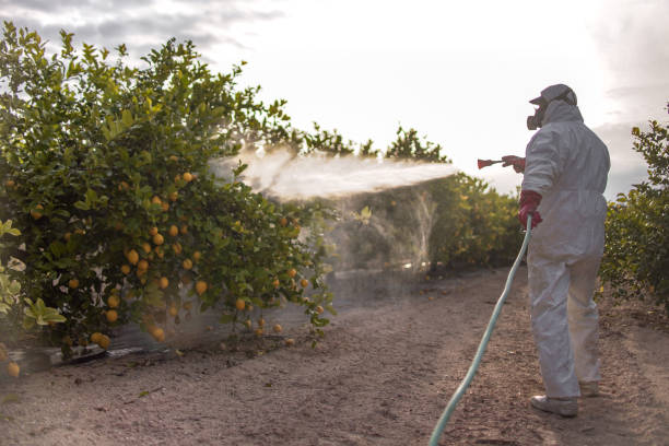  South Oroville, CA Pest Control Pros