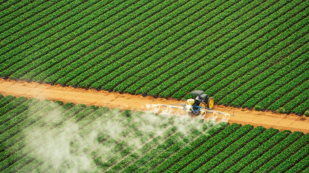 Best Pest Inspection Near Me  in South Oroville, CA